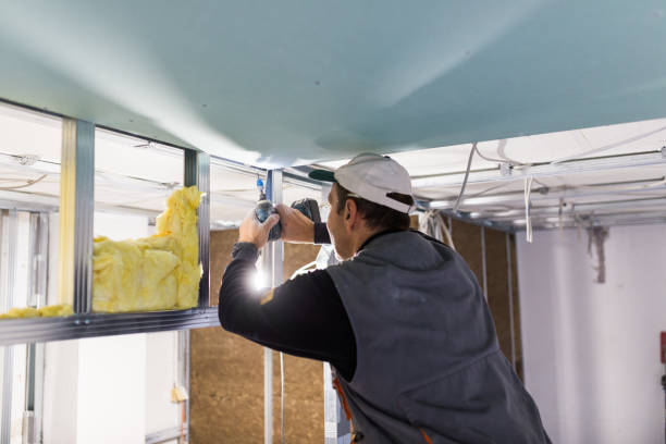 Best Insulation for New Construction  in Appleton City, MO