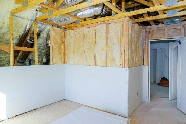 Best Wall Insulation Contractor  in Appleton City, MO