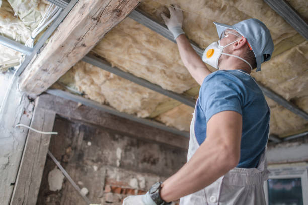 Best Fiberglass Insulation  in Appleton City, MO