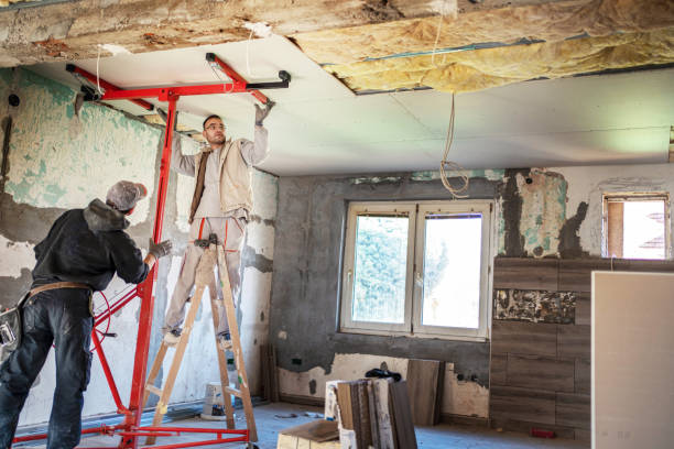 Best Soundproof Insulation Installation  in Appleton City, MO