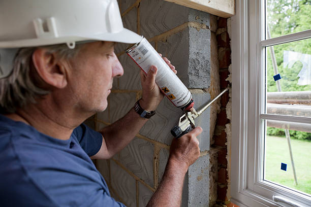 Best Local Insulation Services  in Appleton City, MO