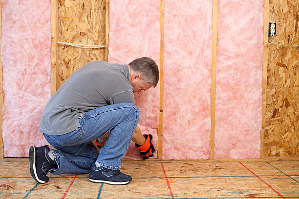 Best Insulation Inspection Services  in Appleton City, MO
