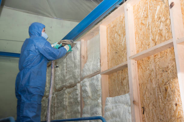 Best Insulation for Commercial Buildings  in Appleton City, MO