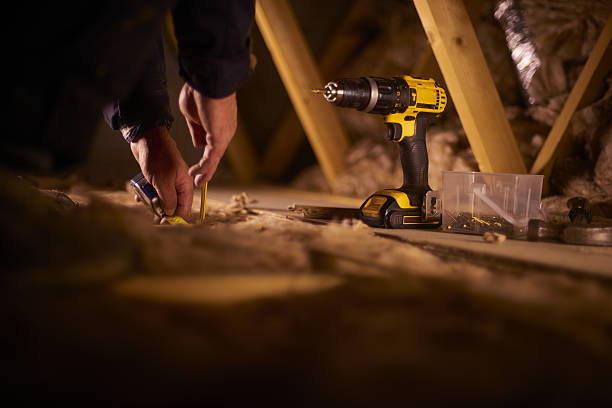 Best Cellulose Insulation  in Appleton City, MO