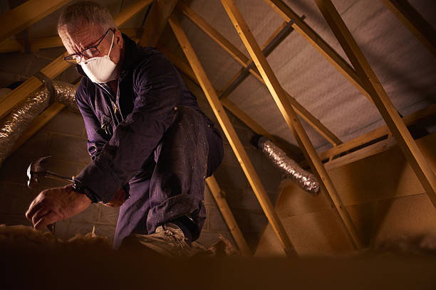 Best Professional Insulation Contractor  in Appleton City, MO