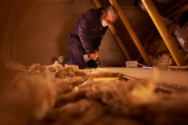Best Attic Insulation Installation  in Appleton City, MO